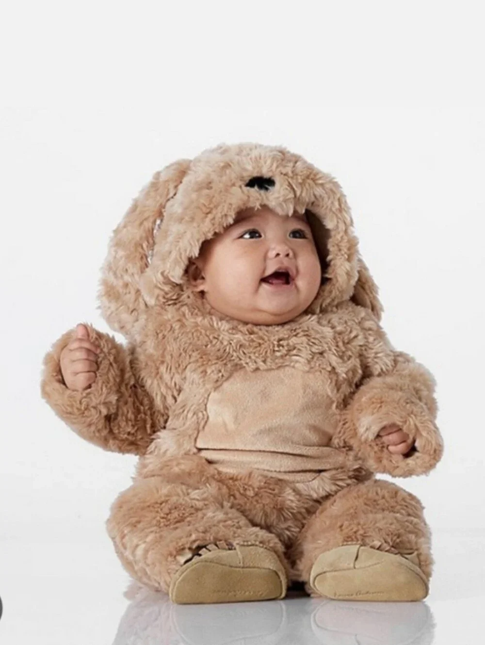 Pottery Barn Kids Baby Dog Costume Size 0-6 months NWT